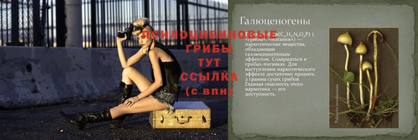 амф Нефтегорск