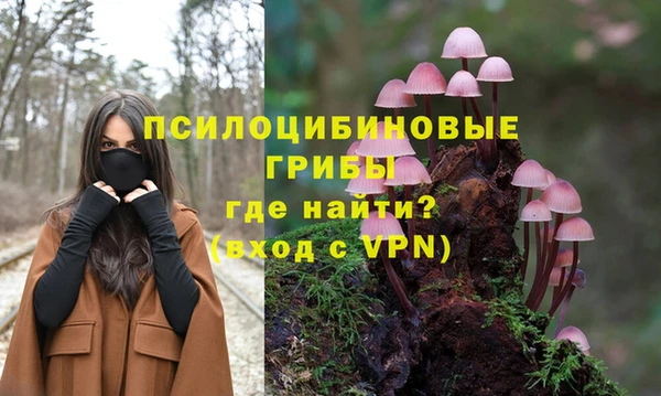 амф Нефтегорск