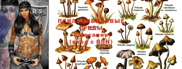 амф Нефтегорск