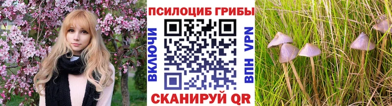 где можно купить   KRAKEN зеркало  Галлюциногенные грибы прущие грибы  Прохладный 
